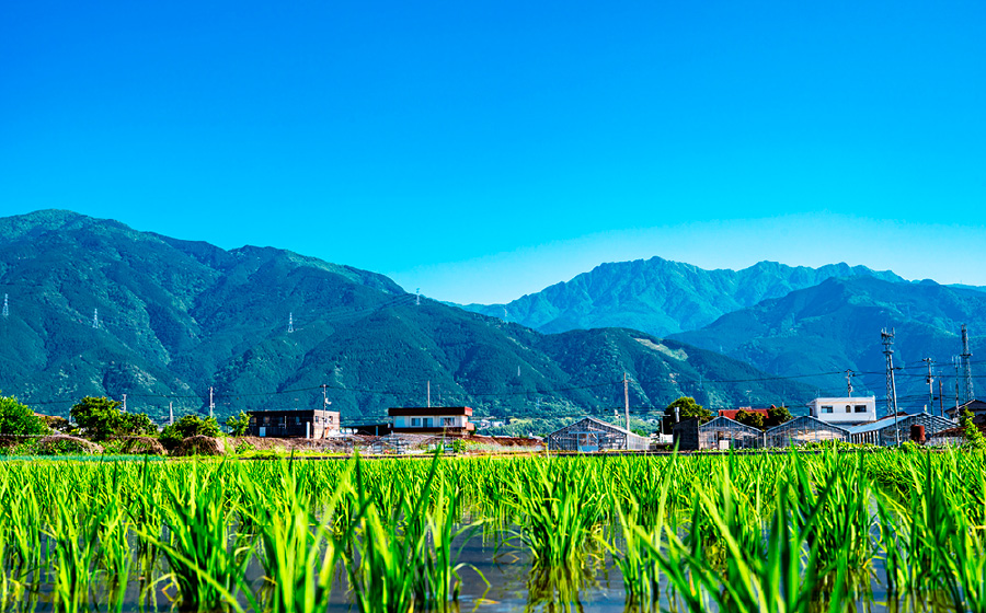 四国中央市の山の風景2