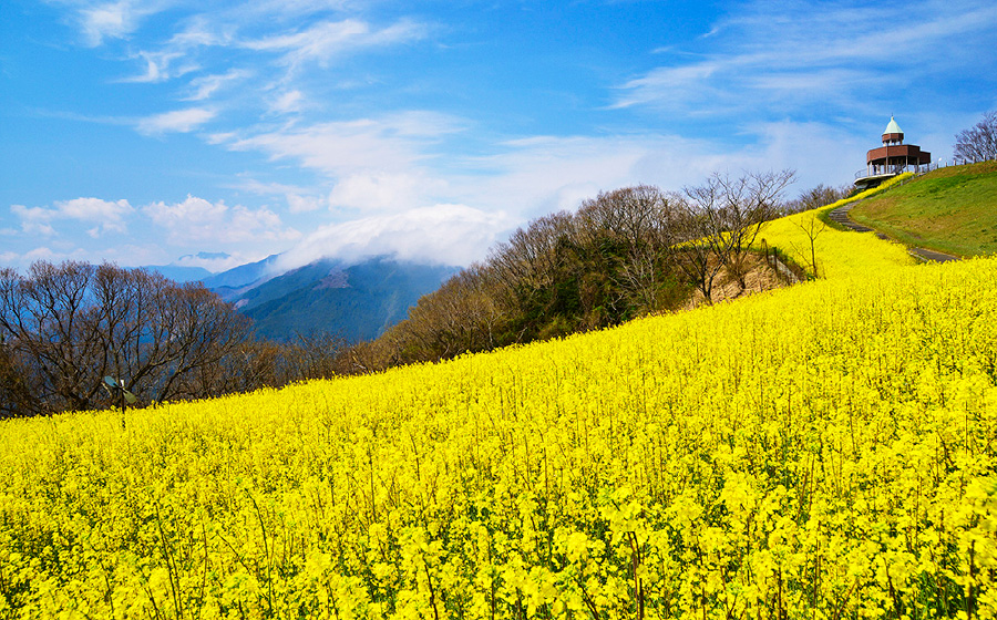 四国中央市の山の風景3