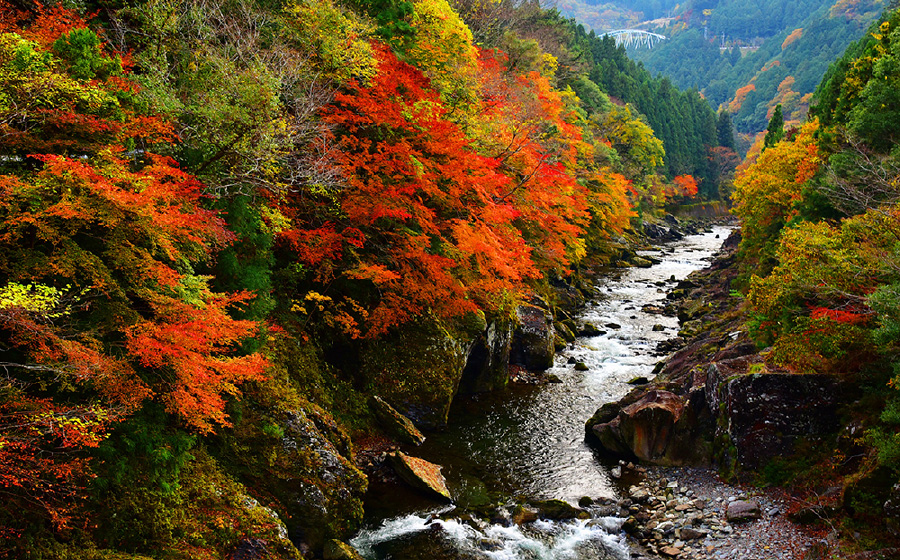 四国中央市の山の風景8