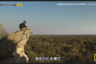 ナショナルジオグラフィック