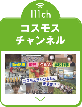 コスモスチャンネル