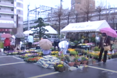 第３８回　市民花いっぱい運動　　栄町商店街駐車場
