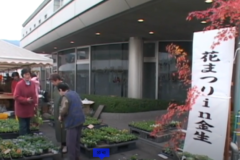 花まつりin金生　　JAうま金生支店