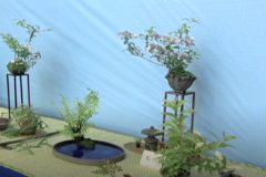 第３９回　緑風展　　　四国中央市川之江文化センター