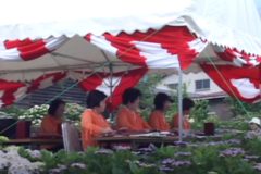 土居アジサイ園満開　　土居町津根