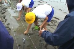 中曽根小学校で　児童が田植え体験　給食用のお米を植えたよ
