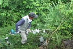 ボランティアの森　草刈作業　　津根山城師
