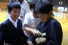 新宮小学校に　移動動物園がやってきた！