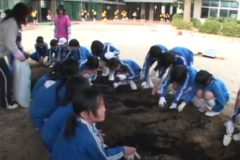 森林環境教育　　三島中央　三島小学校