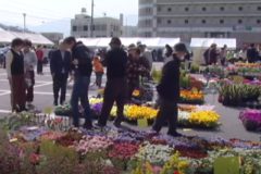 第４０回　市民花いっぱい運動　　川之江町　栄町商店街駐車場