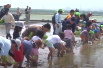 第４回四国中央市　学校給食米田植え祭り　　土居町津根