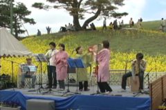 菜の花まつり２００８　　金砂町平野山　翠波高原