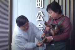 狂犬病予防集合注射開始　　川之江町