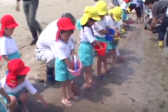三島南幼稚園児が　ヒラメ稚魚放流　　寒川町　寒川豊岡海浜公園