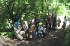 夏のネイチャーゲーム大会　　森と湖畔の公園