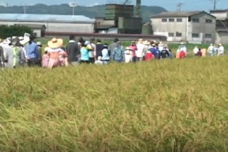 第３回　学校給食米収穫祭　　土居町藤原