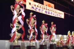 第２９回剛柔会四国地区　空手道選手権大会