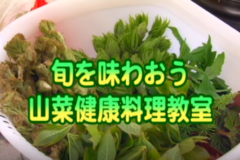 Ｅｖｅぽけ：旬を味わおう　山菜健康料理教室