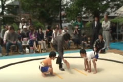 中曽根八幡神社　奉納子供相撲大会