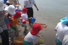 三島南幼の園児が　ヒラメ稚魚を放流