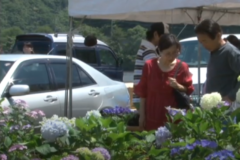 第１２回　嶺南あじさい鑑賞会