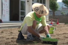公共施設芝生化事業　川之江児童館広場に　芝生植え付け