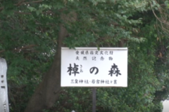 棹の森で自然観察会　第３回　エコ塾