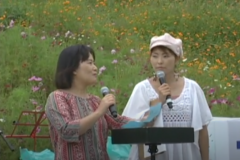 翠波高原で　コスモス祭り開催