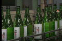 梅錦山川で限定酒　「立春朝搾り」出荷