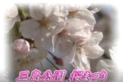 Ｅｖｅぽけ：三島公園　桜まつり