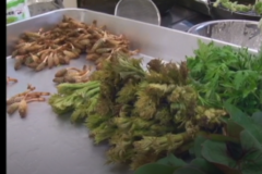 霧の森交湯～館　山菜料理教室