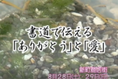 Ｅｖｅぽけ：書道で伝える「ありがとう」と「愛」
