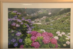 文化協会写真部　写真展