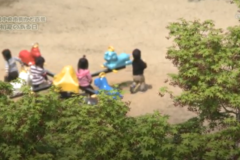街かど　初夏のある日