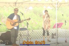 翠波高原コスモス祭