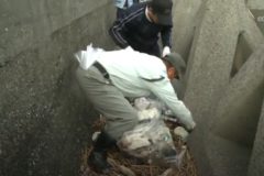 八日市海岸美化清掃