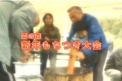 Ｅｖｅぽけ：霧の森新年もちつき大会