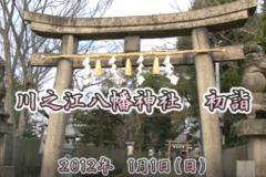 Ｅｖｅぽけ：川之江八幡神社初詣