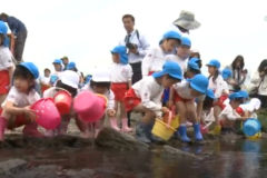 市内園児　稚鮎放流