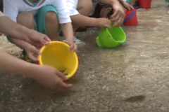 三島南幼稚園　ヒラメの稚魚放流