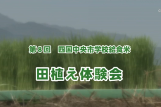 Ｅｖｅぽけ：第８回四国中央市学校給食米田植え