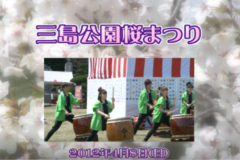 Ｅｖｅぽけ：三島公園桜まつり