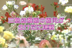 Ｅｖｅぽけ：三島幼稚園の園児が生け花に挑戦