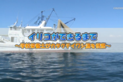 Ｅｖｅぽけ：イリコができるまで～学校栄養士がカタクチイワシ漁を視察～