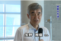 川之江の昆虫標本展