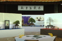 新生盆栽展