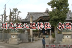 Ｅｖｅぽけ：川之江八幡神社　初詣