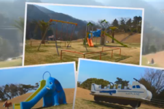 街かど百景：三島公園ピクニック広場