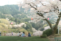 街かど百景：三島公園