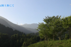 街かど百景：土居町上野にて